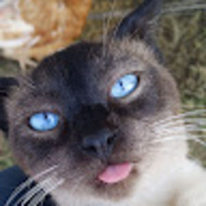 Meet your Posher, Katie